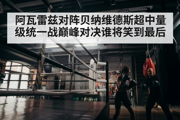 boxer training