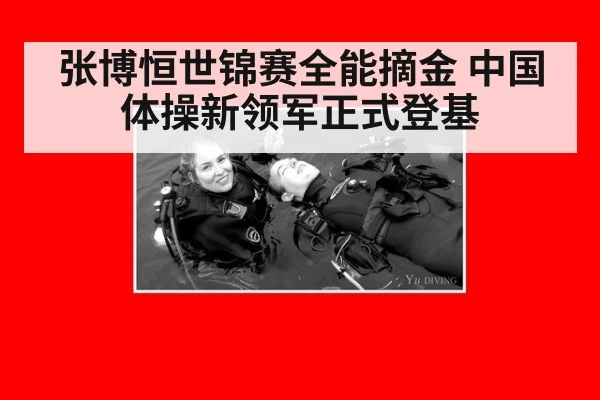 张博恒世锦赛全能摘金 中国体操新领军正式登基